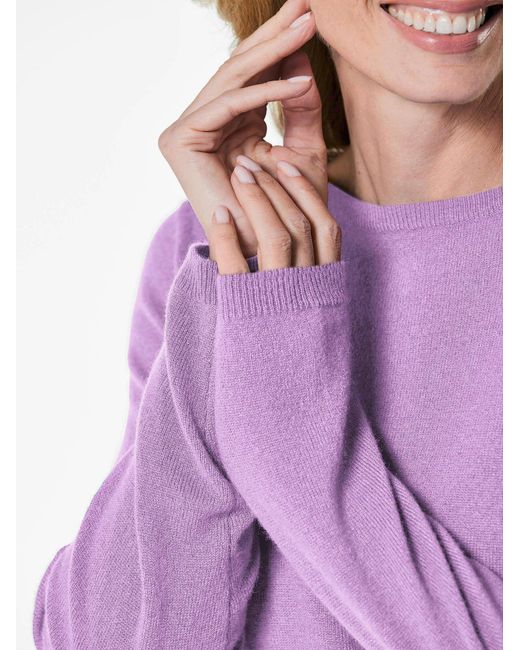 Goldner Purple Pullover