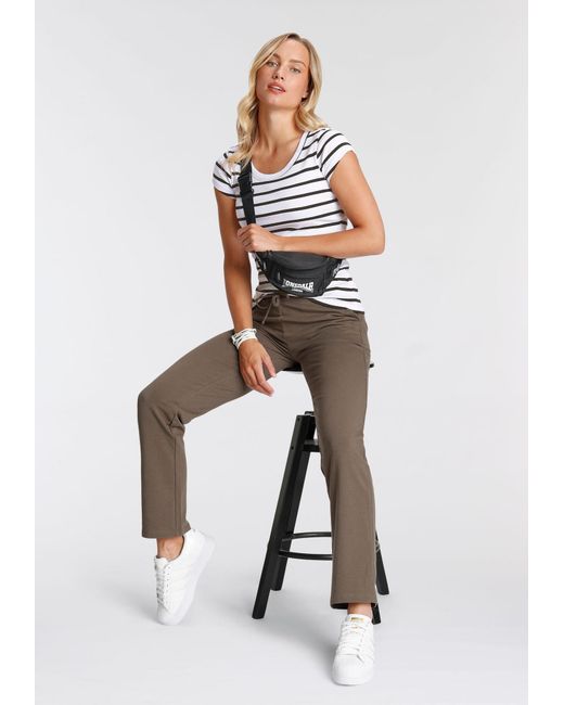 Flashlights Brown Hose