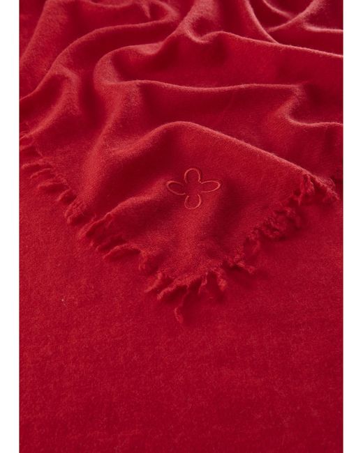 Codello Red Schal