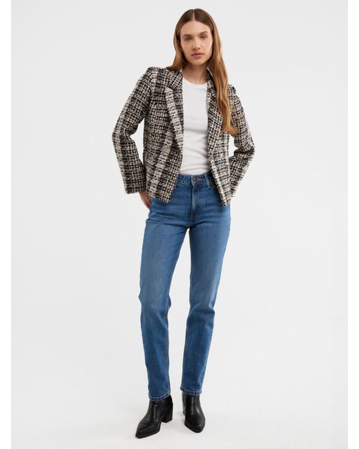Big Star Blue Jeans Charlotte