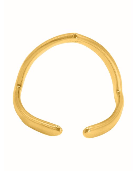 Heideman Metallic Ring Aeca