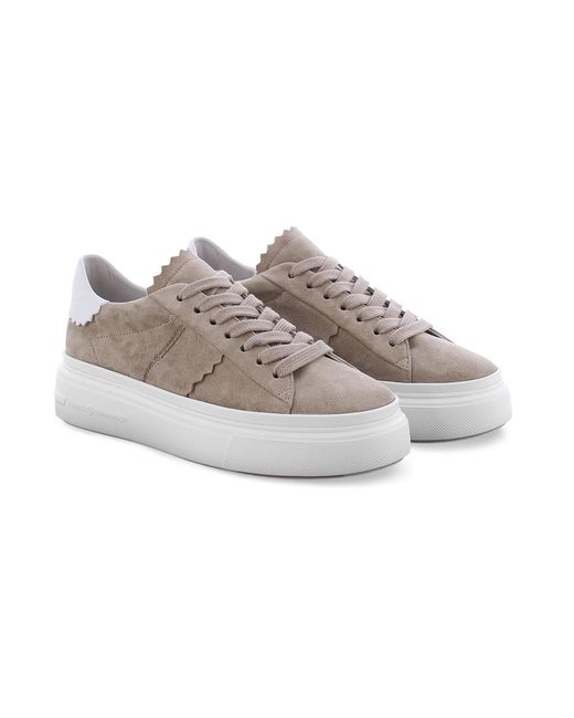Kennel & Schmenger Gray Sneaker DIVE