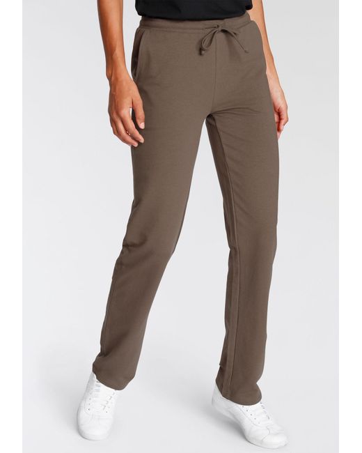 Flashlights Brown Hose