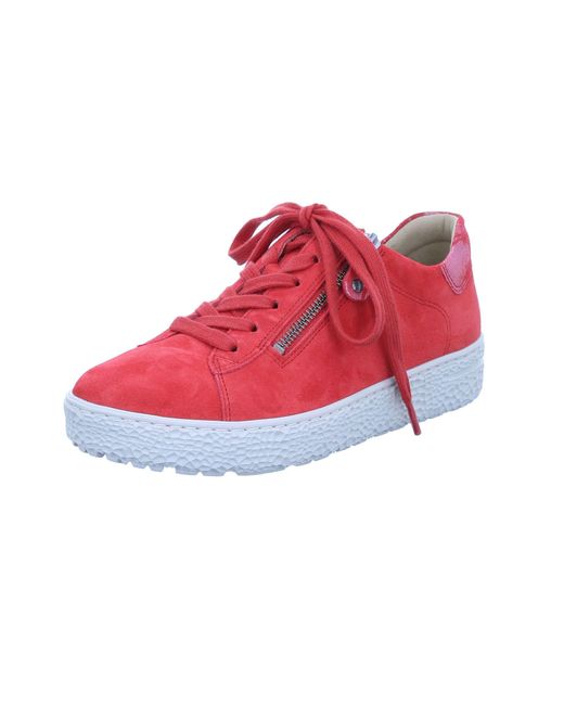Hartjes Red Sneaker 'Phil'