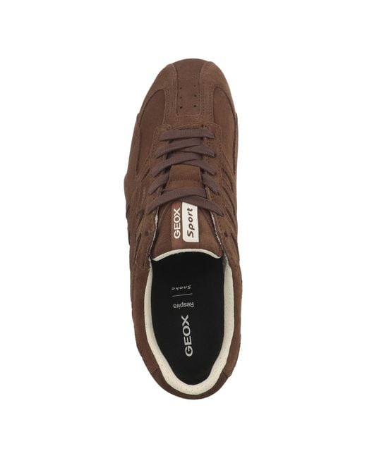 Geox Sneaker in Brown für Herren