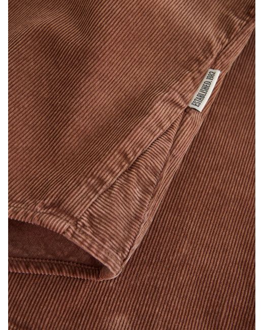Next Brown Bluse