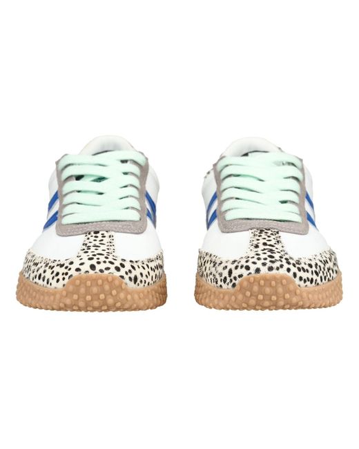 Gioseppo Blue Sneaker