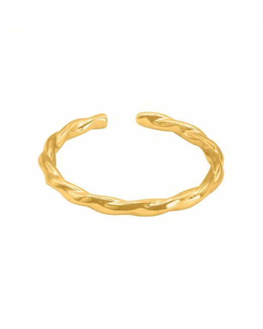 Heideman Metallic Ring Pater
