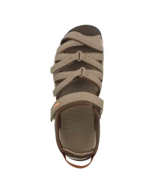 Teva Brown Trekkingsandale