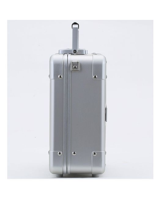 ALEON Metallic Kosmetiktasche