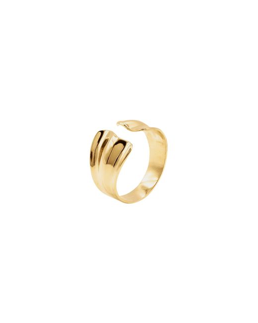 Heideman Metallic Ring