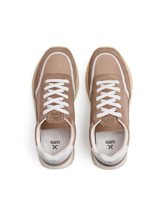 Lloyd White Sneaker Blaze