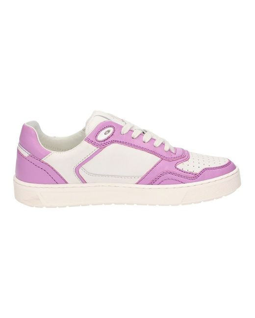 Sioux Pink Sneaker Tedroso