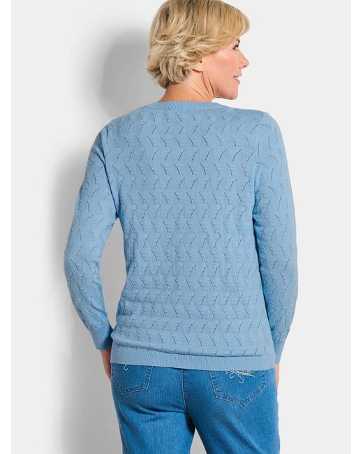 Goldner Blue Pullover