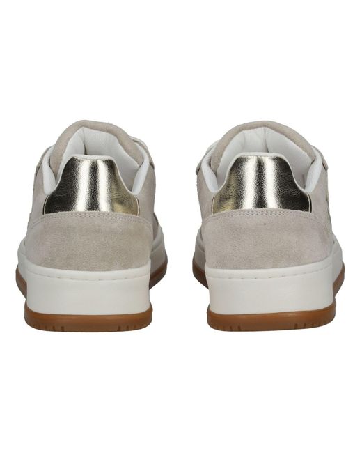 Steve Madden Gray Sneaker