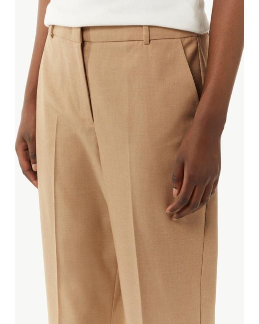 Comma, Natural Hose