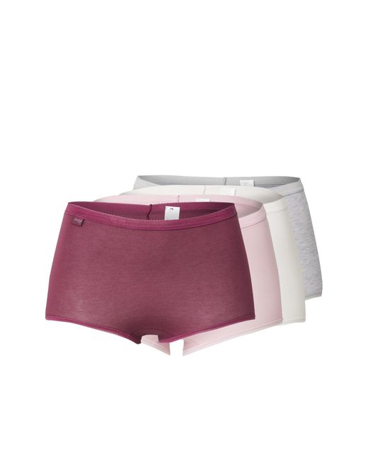 Sloggi Purple Panty Basic