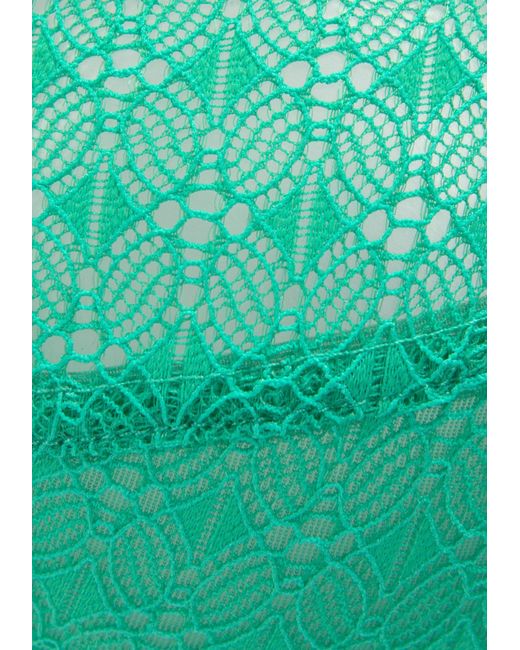 NUANCE' Green Nuance Bh