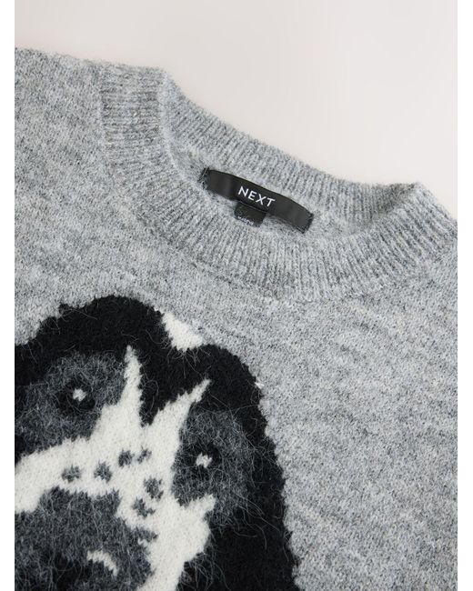Next Gray Pullunder