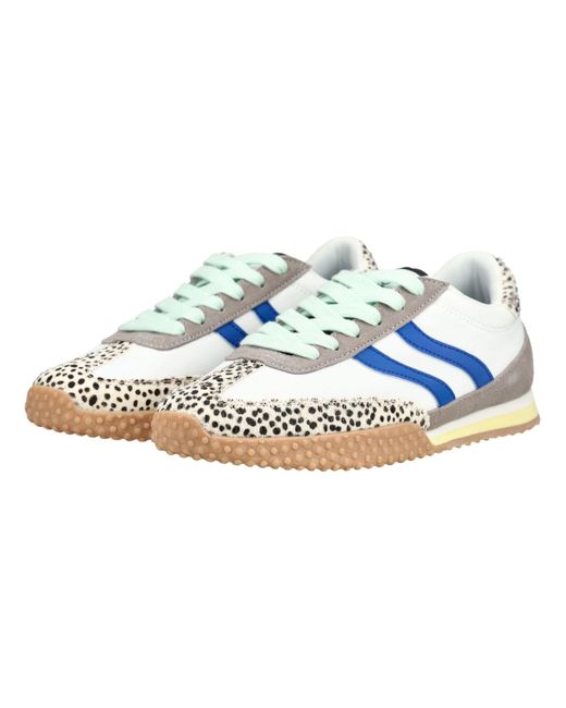 Gioseppo Blue Sneaker