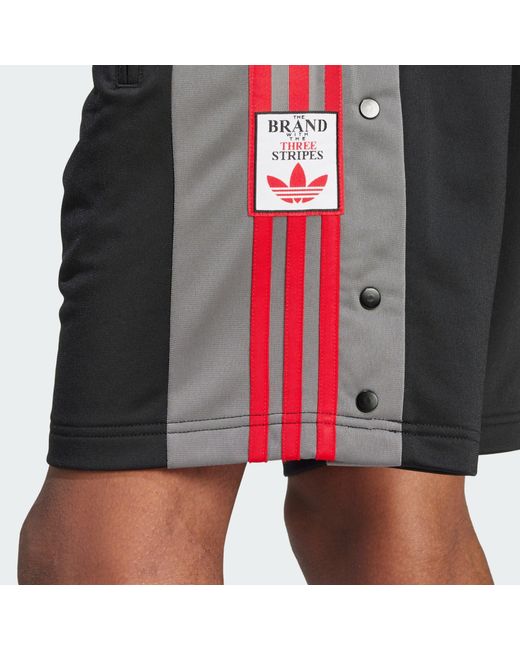 Adidas Originals Shorts 'adicolor adibreak' in Black für Herren