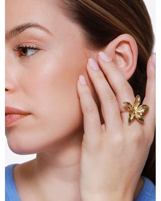 Heideman Metallic Ring