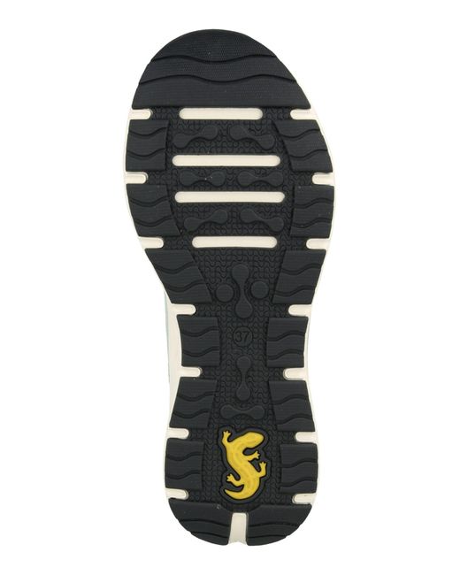 Salamander White Sneaker