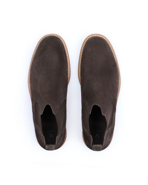 Lloyd Schuhe Origin 315 in Brown für Herren