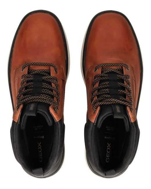 Geox Stiefelette in Brown für Herren