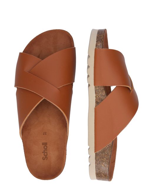 Scholl Brown Pantolette 'noelle 24'