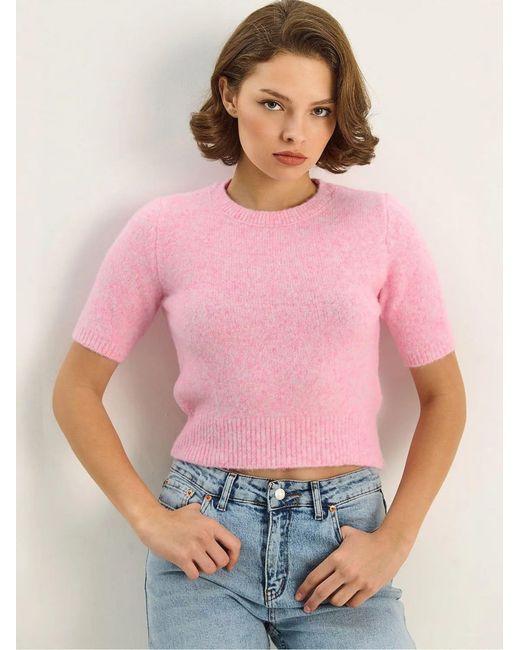 Bianco Lucci Pink Pullover Pullover