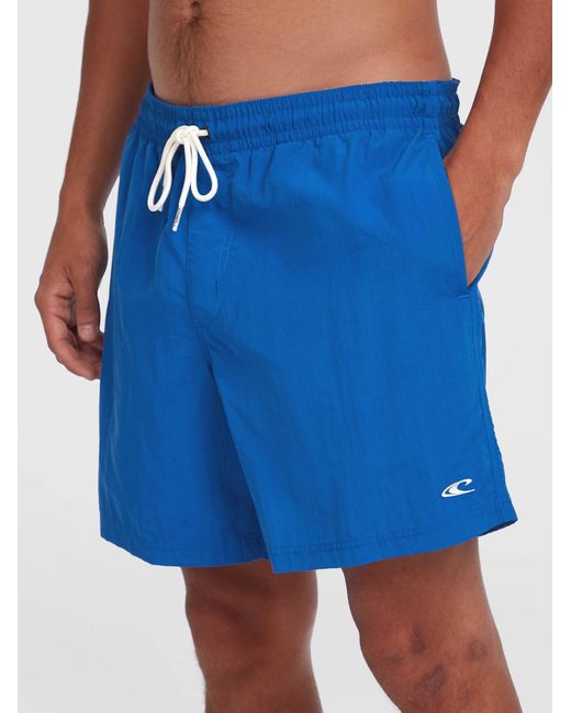 O'neill Sportswear Oneill Badeshorts Vert 16 in Blue für Herren