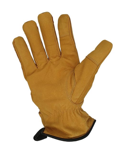 Glow Hamburg Fingerhandschuhe Fw02-06Xx-1 in Yellow für Herren
