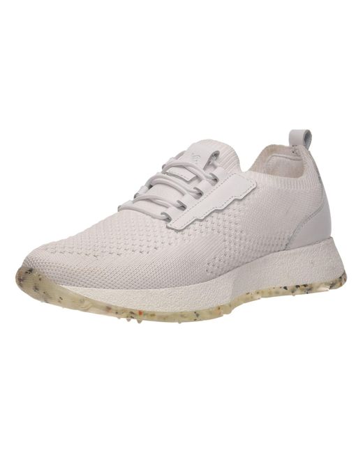 Salamander White Sneaker Low