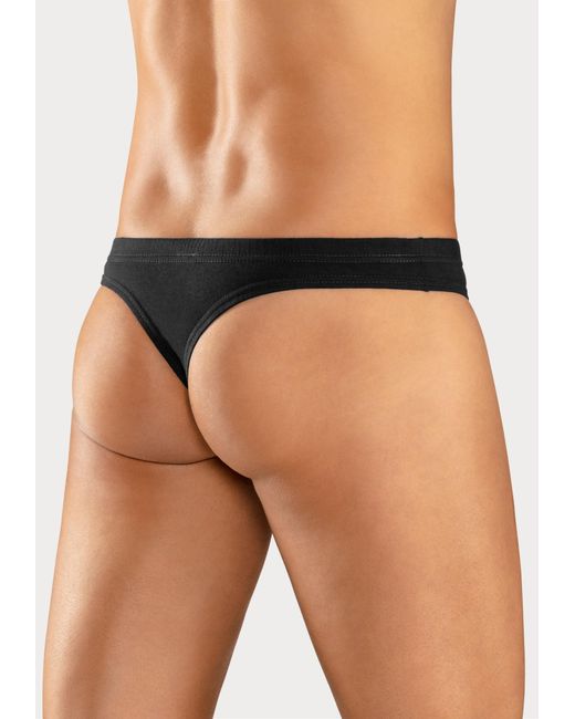 H.i.s. String in Multicolor für Herren