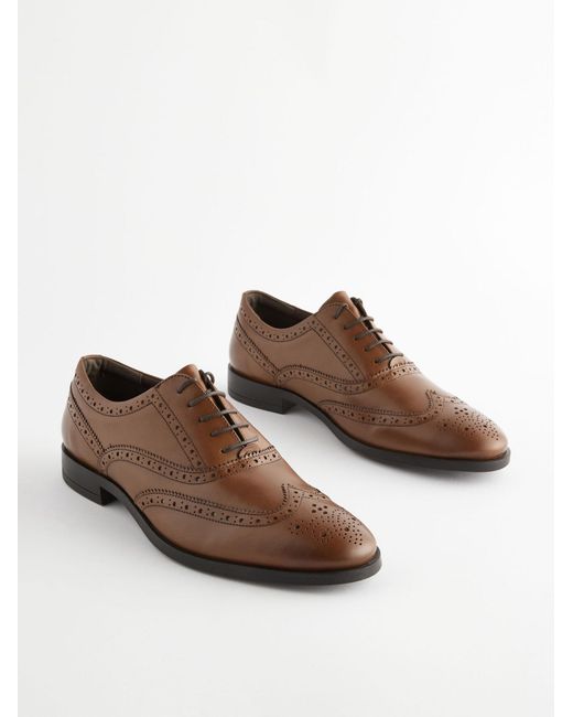 Next Schnürschuh in Brown für Herren