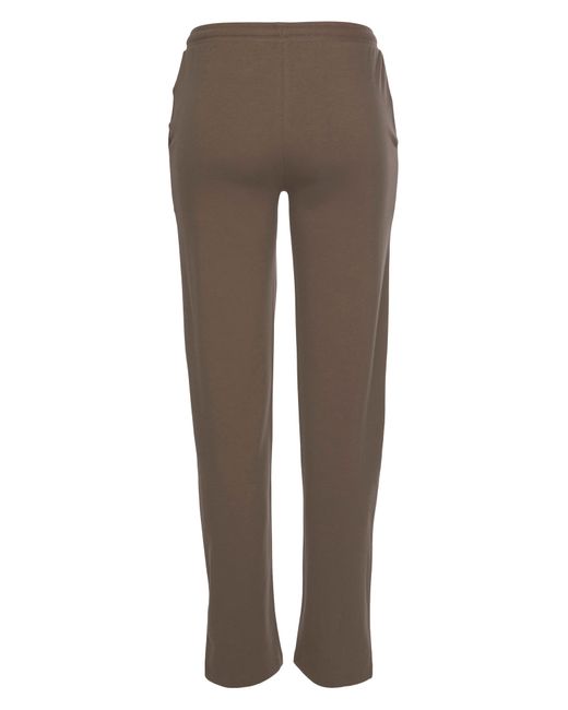 Flashlights Brown Hose