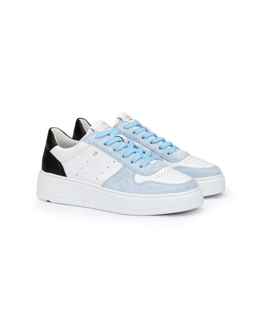 Lloyd Blue Sneaker
