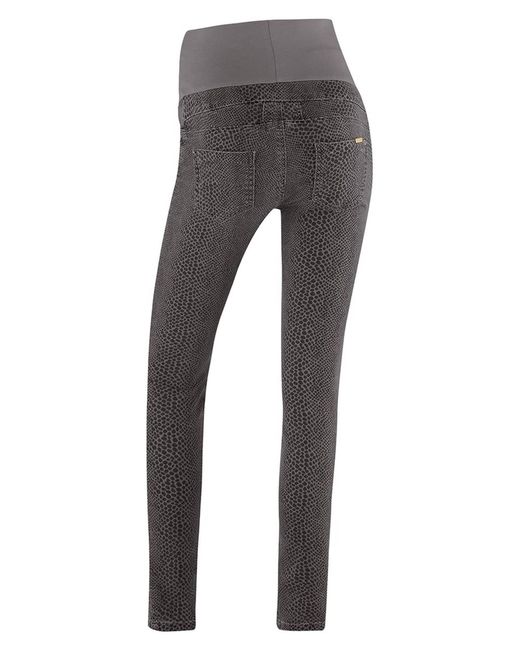Bellybutton Gray Hose