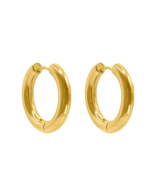 Heideman Metallic Ohrringe Cassi