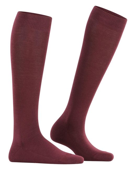 Falke Red Kniestrümpfe Family
