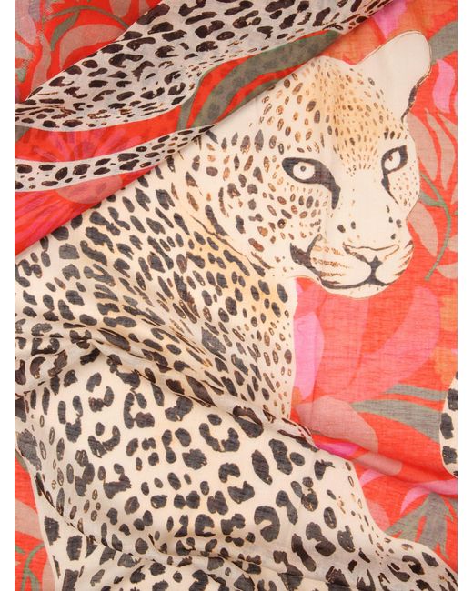 Codello Red Schal