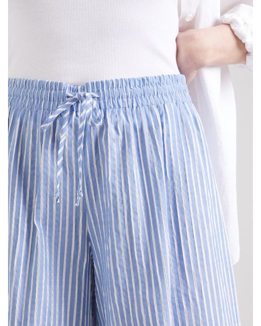 Studio Select Blue Hose