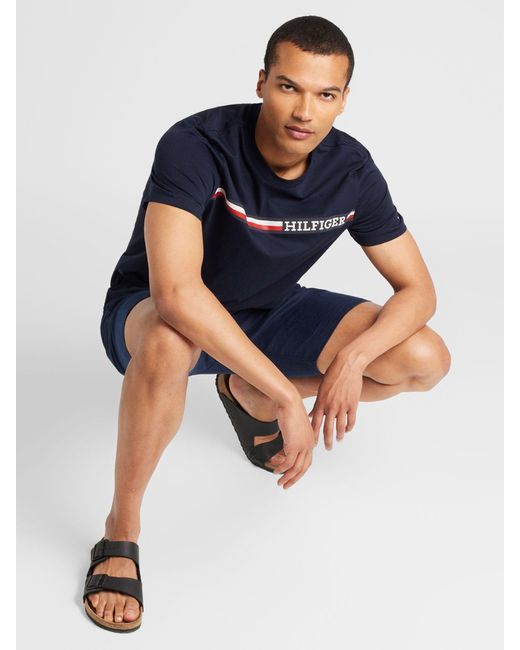 Tommy Hilfiger T-shirt in Blue für Herren