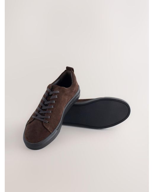 Next Sneaker N. Premium in Brown für Herren