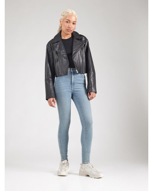 Dr. Denim Blue Jeans 'Moxy'