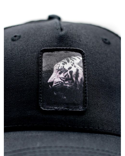 Be52 Blue Cap Tiger