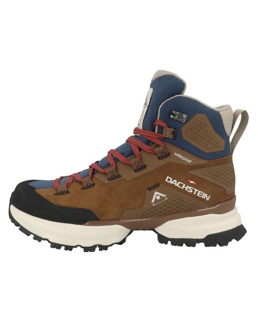 Dachstein Brown Sneaker