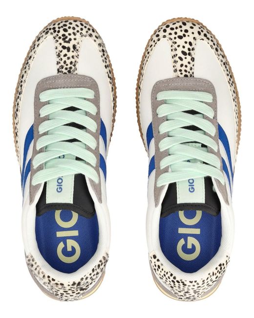 Gioseppo Blue Sneaker