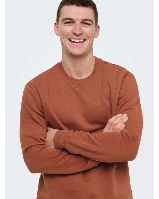 Only & Sons Sweatshirt Onsconnor in Brown für Herren